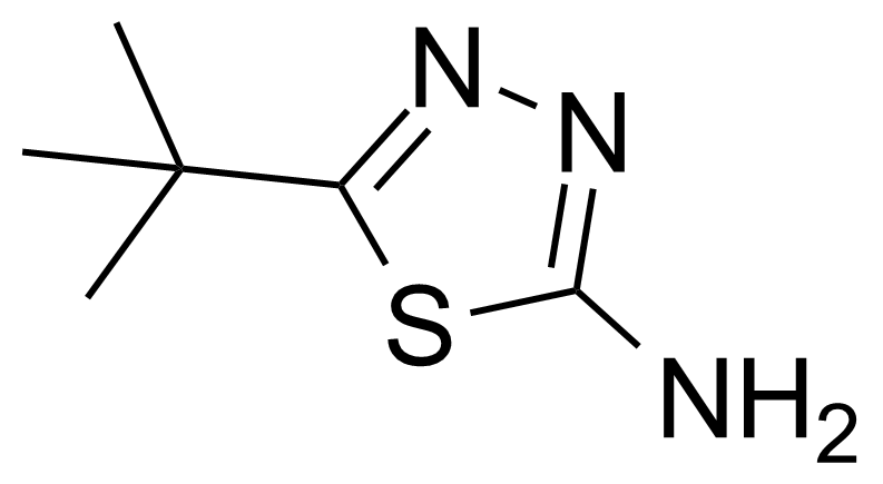 Structure of 2-Amino-5-tert-butyl-1,3,4-thiadiazole