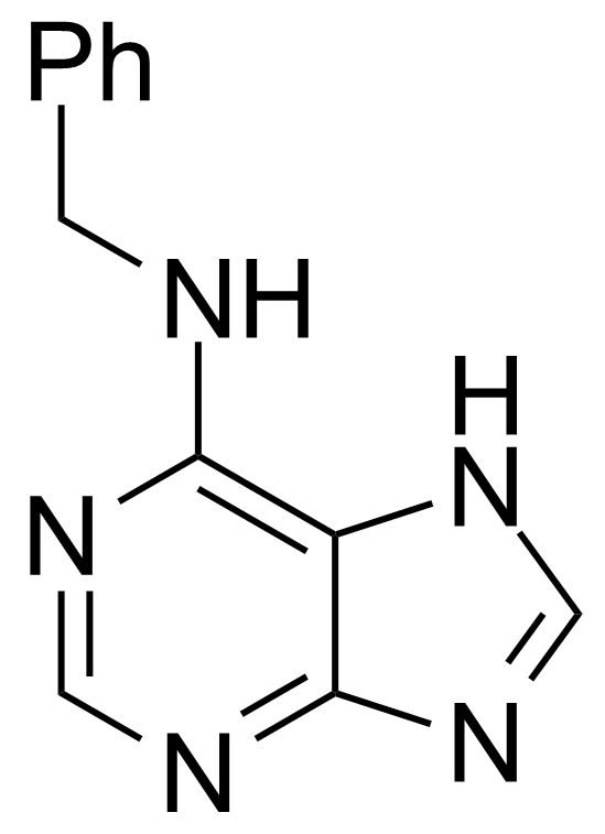 Structure of 6-Benzylaminopurine
