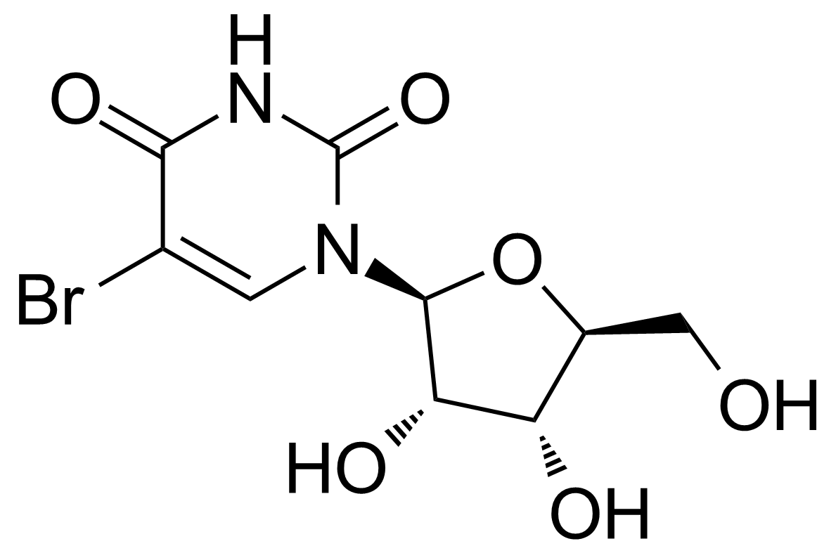 Structure of 5-Bromouridine