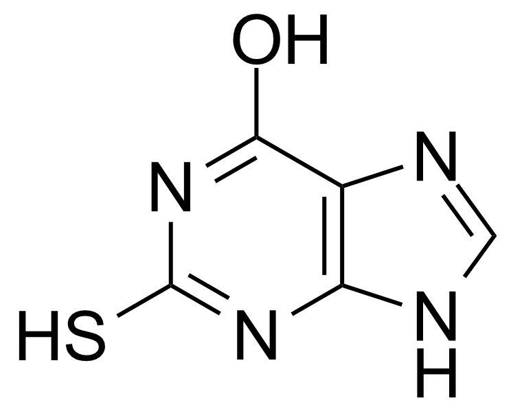 Structure of 6-Hydroxy-2-mercaptopurine
