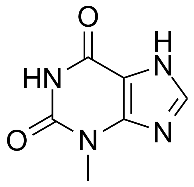 Structure of 3-Methylxanthine