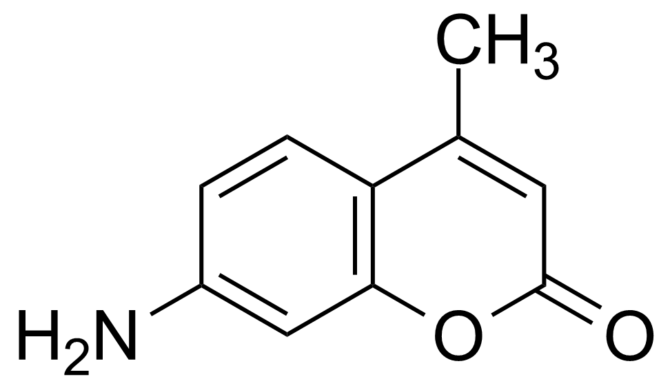 Structure of 7-Amino-4-methylcoumarin