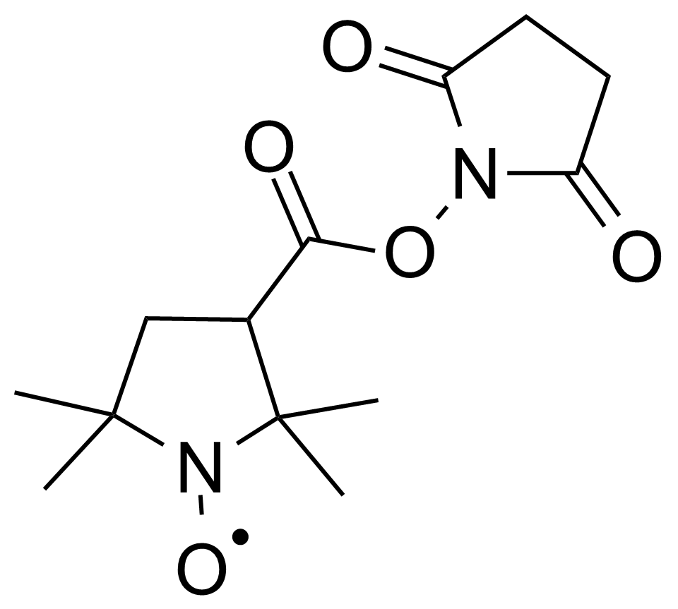 Structure of 2,2,5,5-Tetramethyl-3-pyrrolidine-1-oxyl-3-carboxylic acid N-hydroxysuccinimide ester