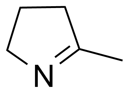 Structure of 2-Methyl-1-pyrroline