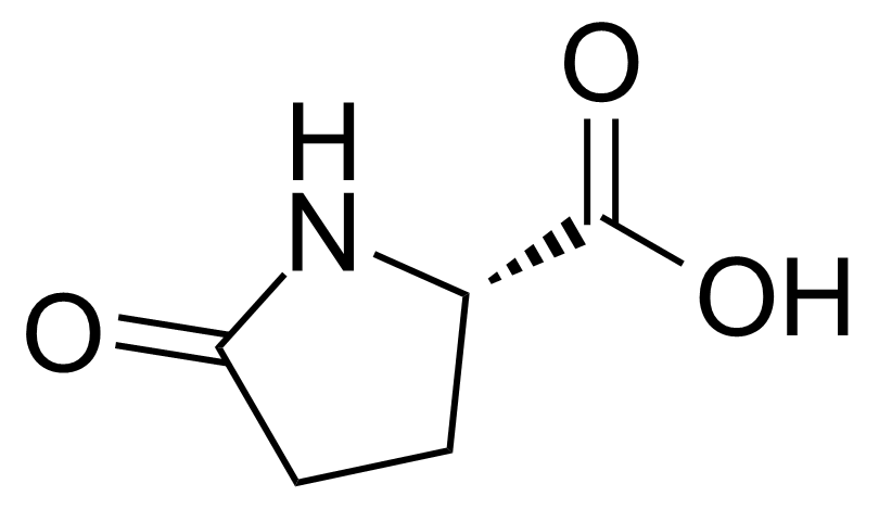 Structure of L-Pyroglutamic acid