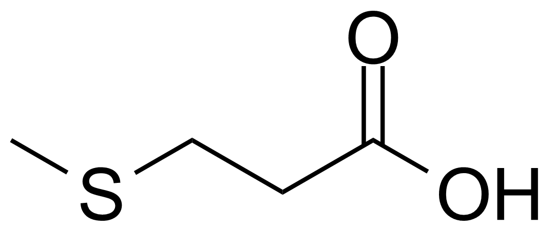 Structure of 3-(Methylthio)propanoic acid
