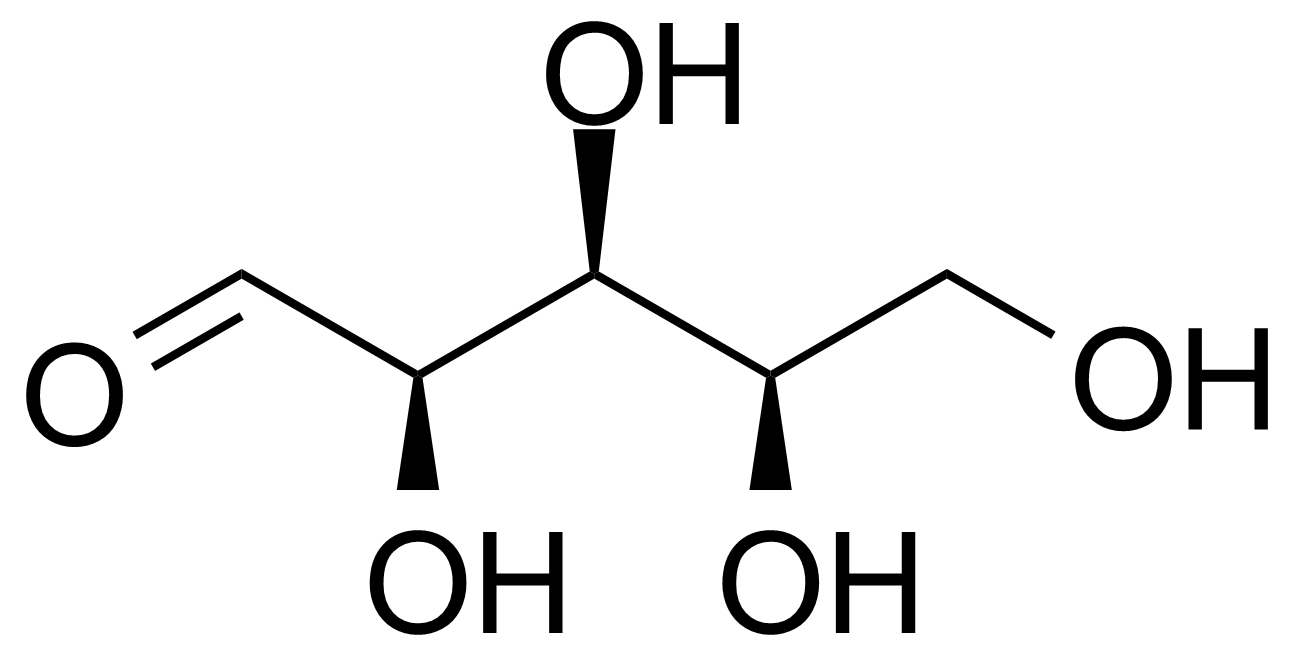 Structure of D-Xylose