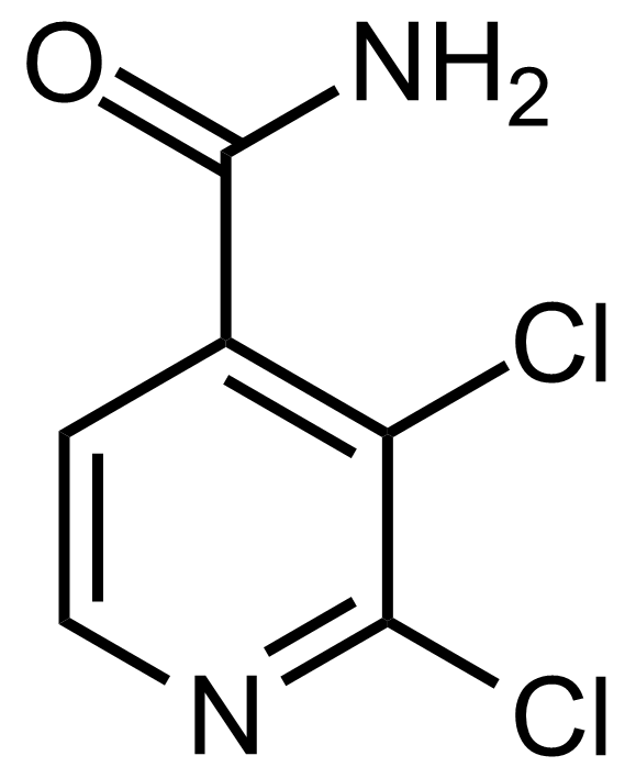 Structure of 2,3-Dichloroisonicotinamide