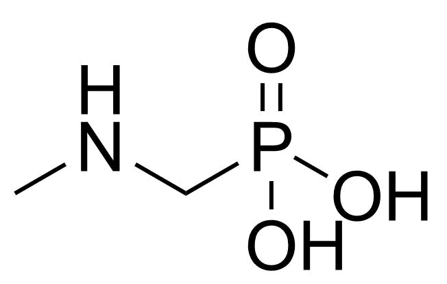 Structure of N-Methylaminomethyl phosphonic acid
