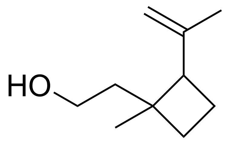 Structure of 2-[1-Methyl-2(prop-1-en-2-yl)cyclobutyl]ethan-1-ol