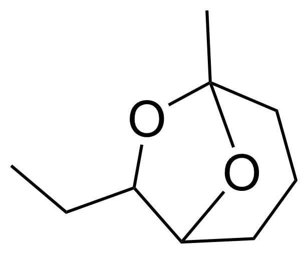 Structure of 7-Ethyl-5-methyl-6,8-dioxabicyclo[3.2.1]octane