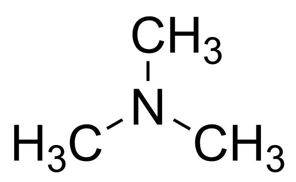 Structure of Trimethylamine, 50 % Aqueous solution