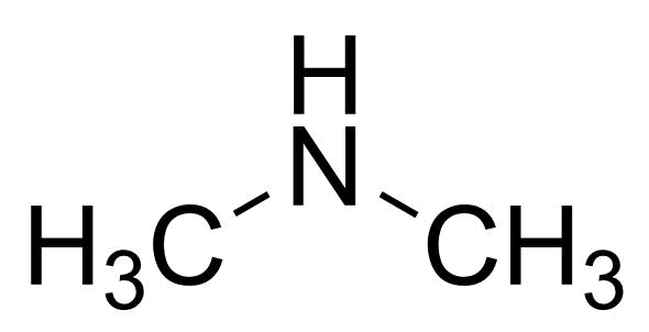 Structure of Dimethylamine, 40% w/w Aqueous solution