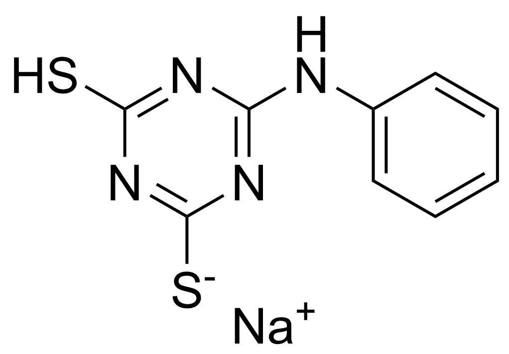 Structure of 6-Anilino-1,3,5-triazin-2,4-dithiol monosodium salt