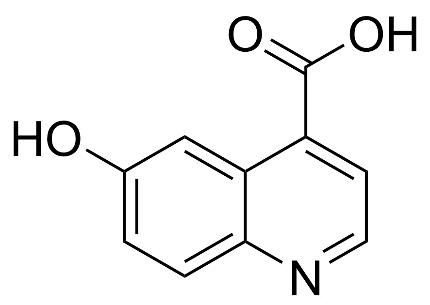 Structure of 6-Hydroxyquinoline-4-carboxylic acid